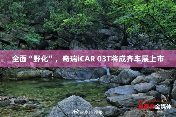 全面“野化”，奇瑞iCAR 03T将成齐车展上市