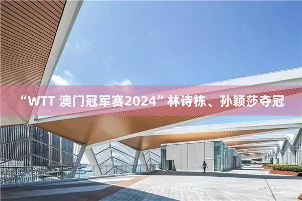 “WTT 澳门冠军赛2024”林诗栋、孙颖莎夺冠