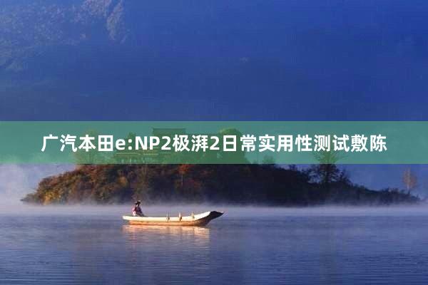 广汽本田e:NP2极湃2日常实用性测试敷陈