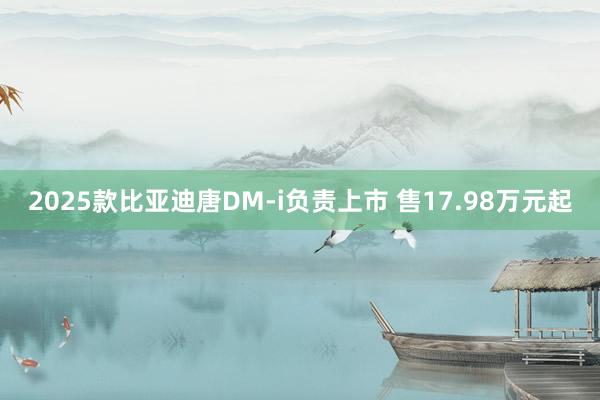 2025款比亚迪唐DM-i负责上市 售17.98万元起