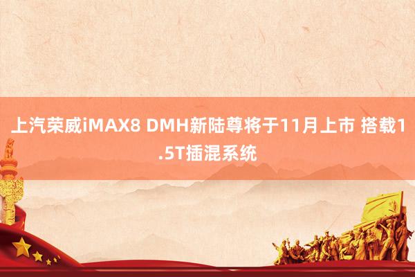 上汽荣威iMAX8 DMH新陆尊将于11月上市 搭载1.5T插混系统