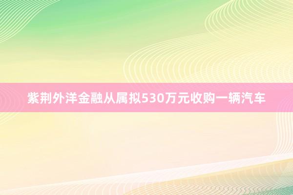 紫荆外洋金融从属拟530万元收购一辆汽车