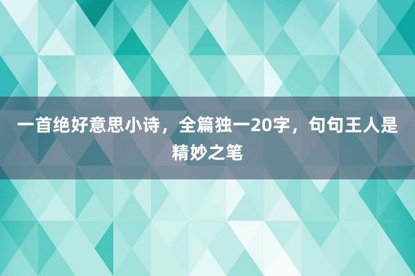 一首绝好意思小诗，全篇独一20字，句句王人是精妙之笔