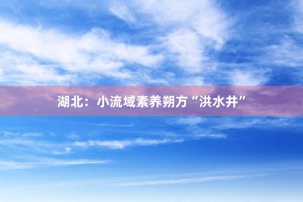 湖北：小流域素养朔方“洪水井”